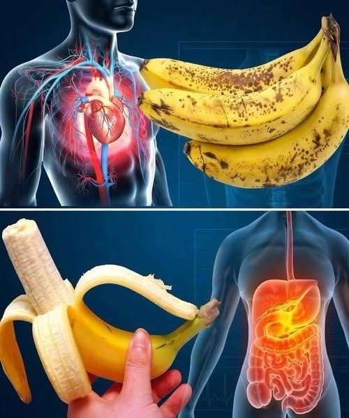 Did you know that eating bananas increases… See more