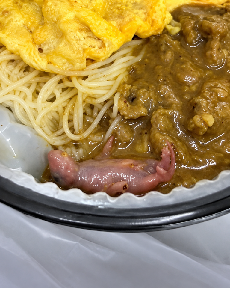 Woman Finds Something Horrifying Moving Inside Her Takeaway Meal—Restaurant Now Under Investigation