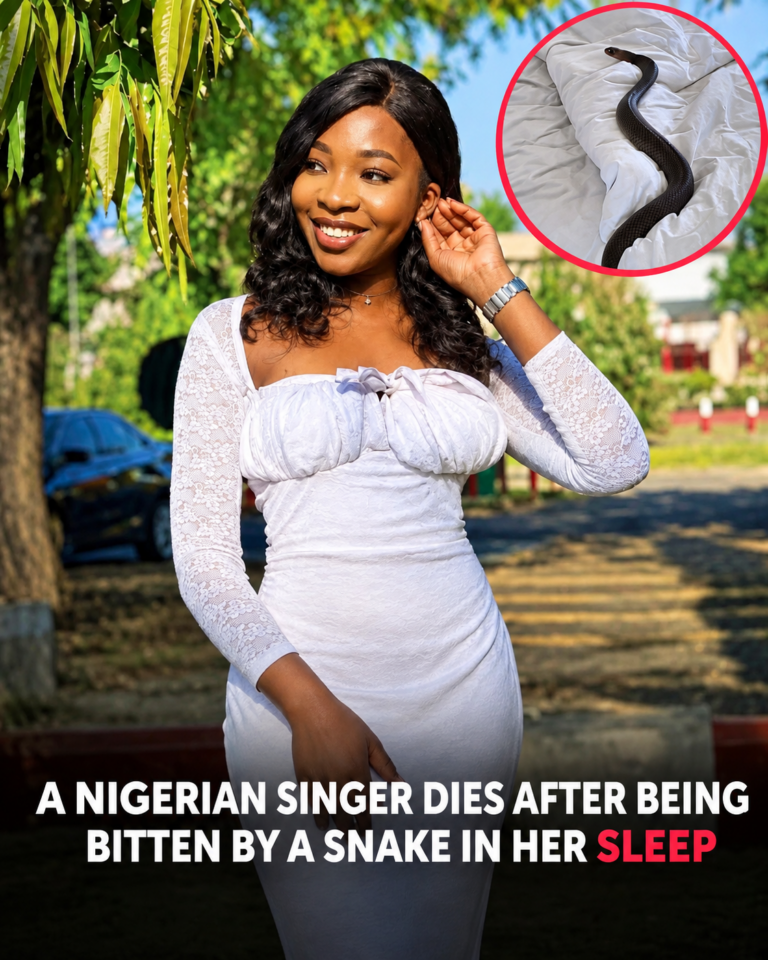 She Was Only 26 and Preparing for Her First Solo Concert—Then a Snake Bite Changed Everything 💔