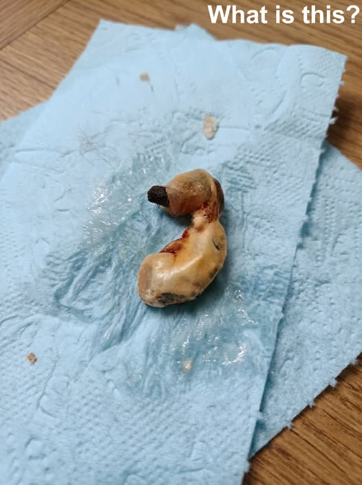 I Found This in My Son’s Room While Cleaning — And What It Turned Out to Be Changed Everything