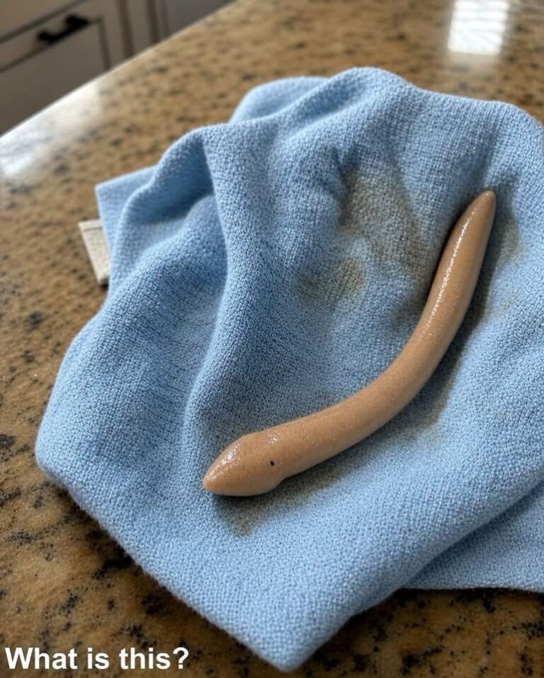 This evening, I went into my girlfriend’s bathroom and found this on the floor