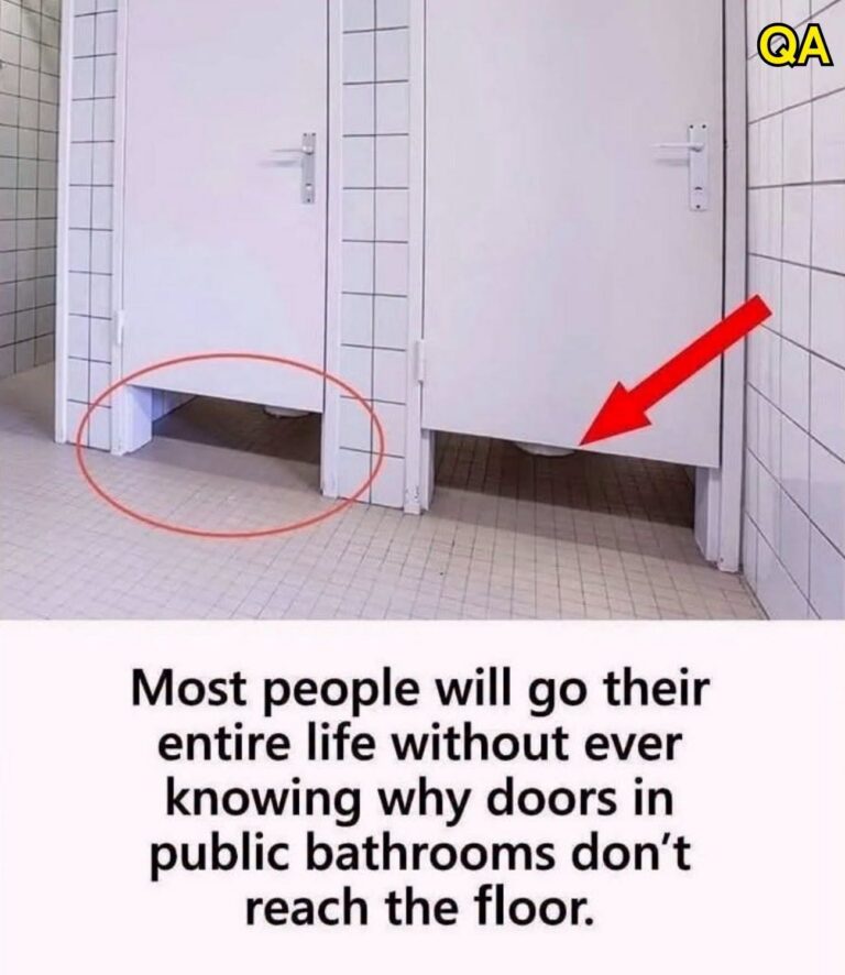 Why don’t public bathroom doors reach the floor?