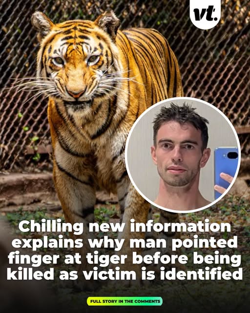 Chilling new information explains why man pointed finger at tiger as victim is identified