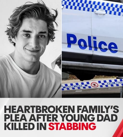 Family’s plea after young father Shannon Royal killed in Albury stabbing